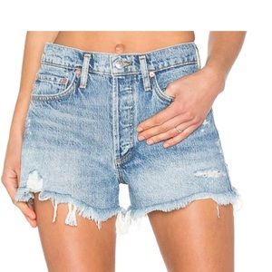 Agolde Parker Vintage Cut Off Shorts in Swapmeet Plus Size 33